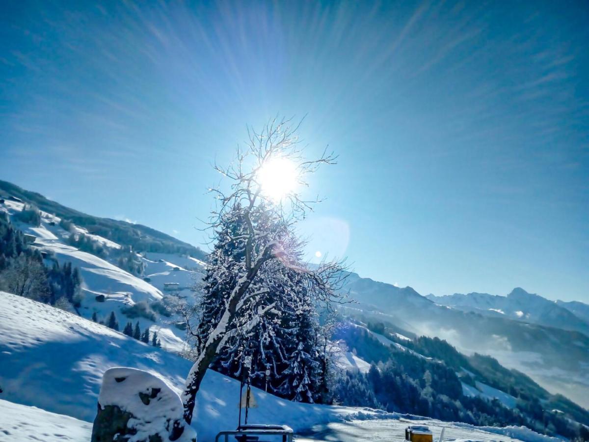Apartment Wildbachl By Interhome Aschau Im Zillertal Zewnętrze zdjęcie